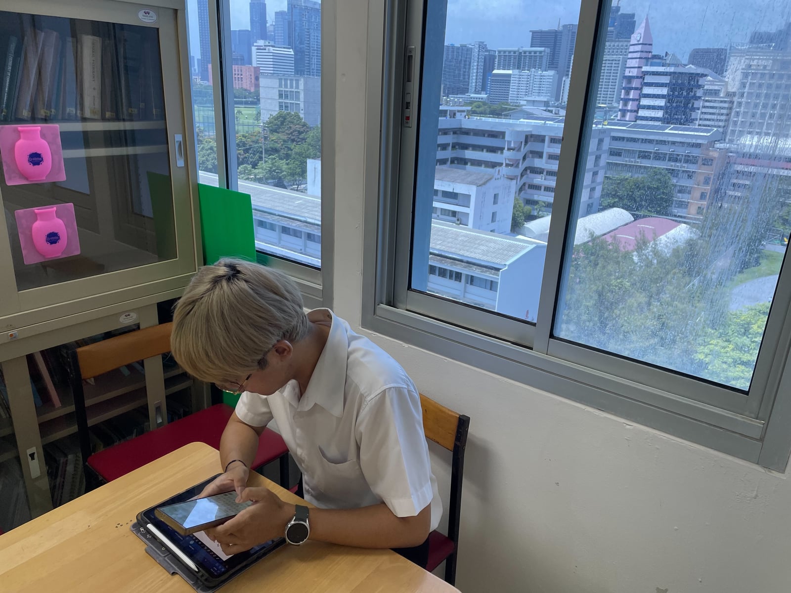 Palm studying clinical sciences on a tablet at the CU Vet faculty library.